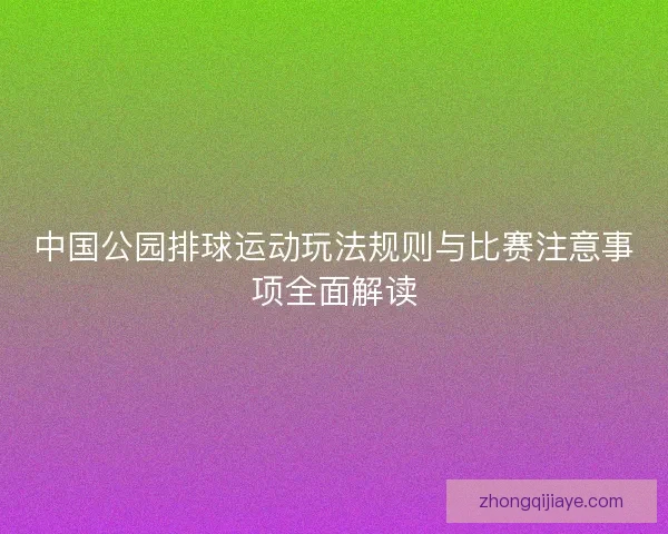 中国公园排球运动玩法规则与比赛注意事项全面解读